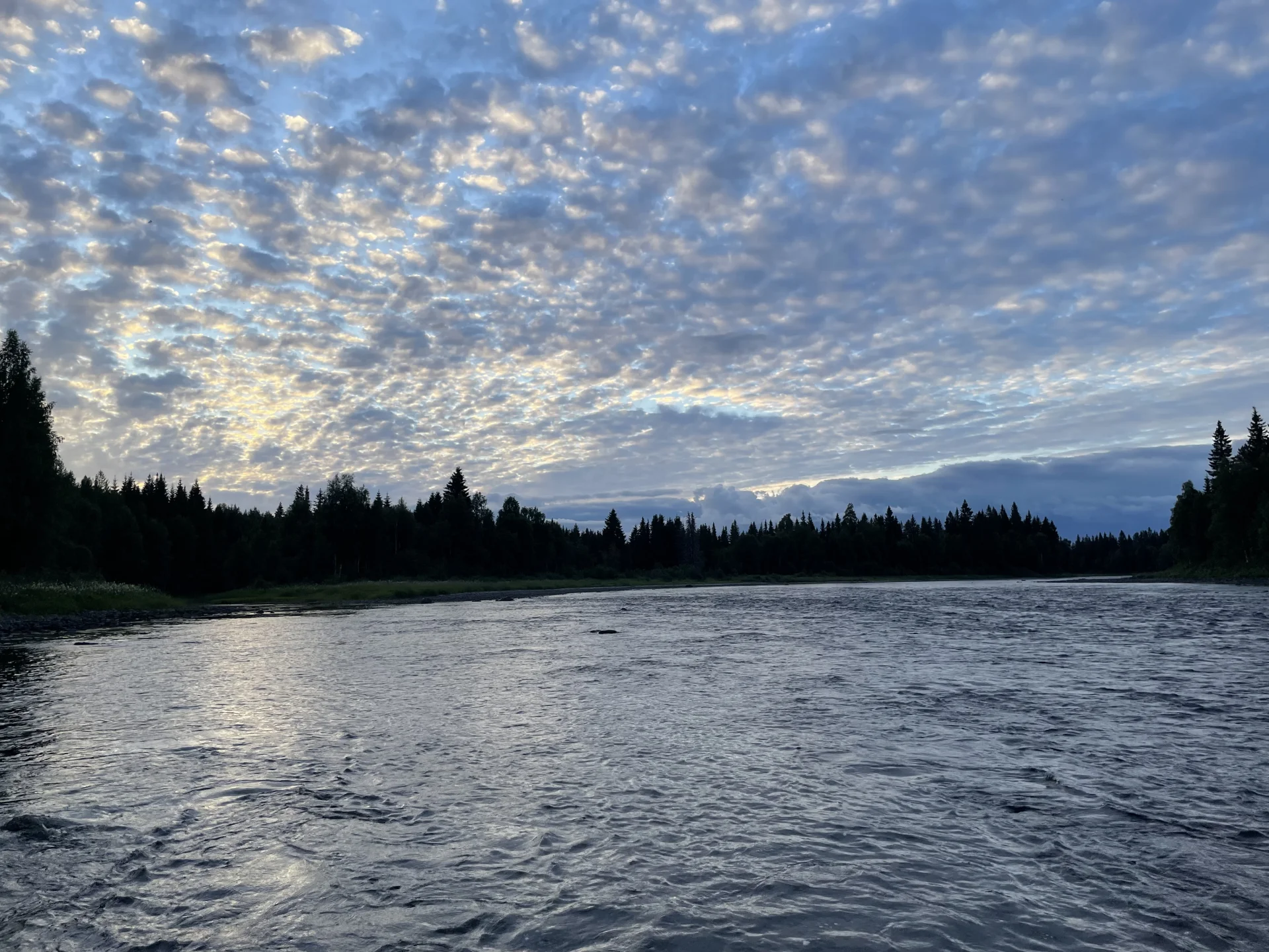 Fly Fishing for Grayling on the Västerdalälven