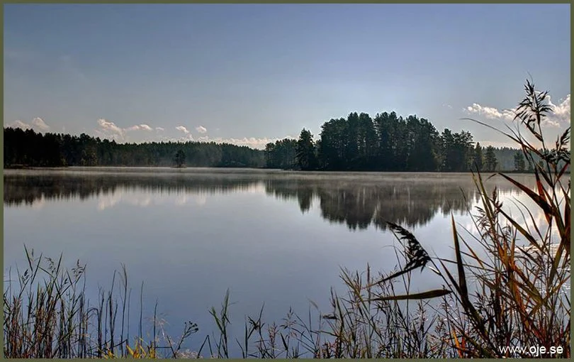 Pike Fishing on Lake Öjesjön